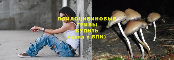 стафф Переславль-Залесский
