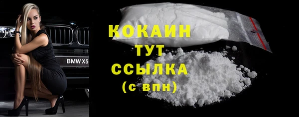 твердый Арсеньев