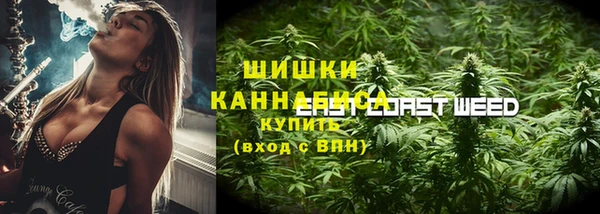 ешки Аркадак