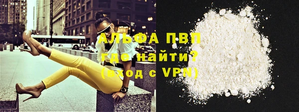 твердый Арсеньев