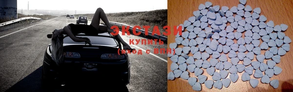 ешки Аркадак