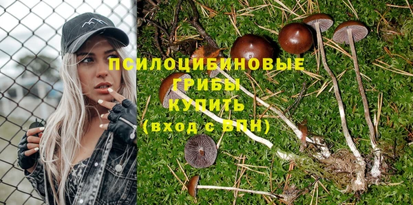 СК Пересвет