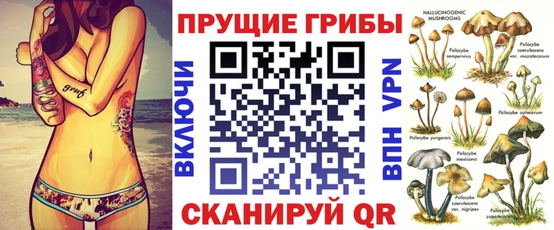 Псилоцибиновые грибы Psilocybe  Геленджик 